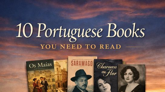 📚 10 Portuguese Books You Need to Read taken Vila Viçosa (culture)