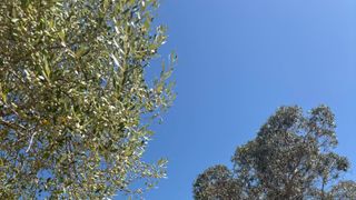 Embracing the Alentejo: Our Journey to Finding Home in Portugal taken Estremoz (real estate)