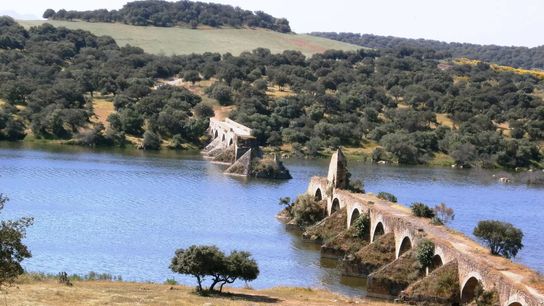 Moving to Portugal: What to Bring, What to Leave, and What Just Doesn’t Work taken Vila da Feira