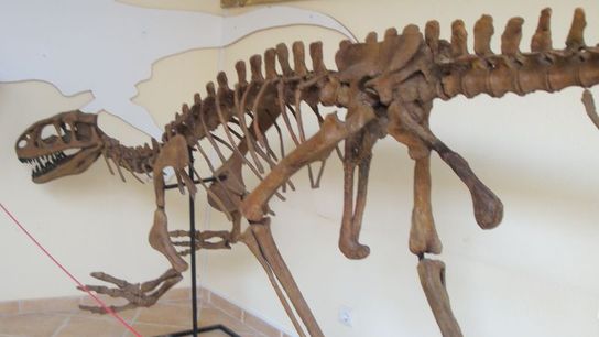 Portugal's Lourinhã: the capital of Dinosaurs…and brandy! taken Lourinhã (Driving)