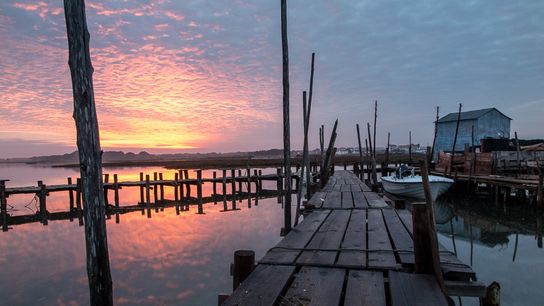 Get lost in the rice fields of Comporta taken Comporta