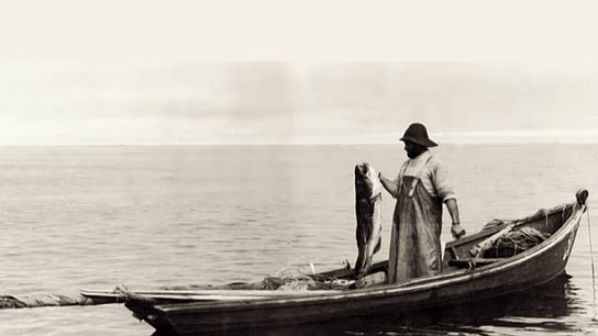 Bacalhau in Portugal: Why Salt Cod Is the Heart of Portuguese Cuisine taken Lisbon