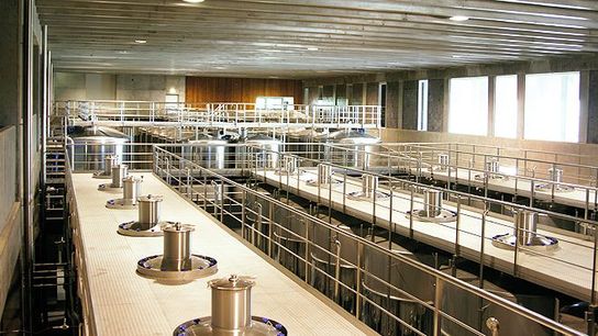 Discovering Portugal's Lesser-Known Wine Regions taken Beira Interior