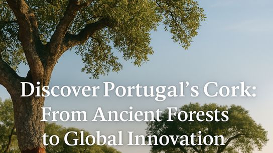 More than 1/2 of the World's Cork Comes from Portugal taken Redondo (Alentejo)