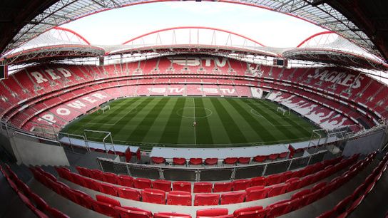 A Guide to Portuguese Football: How to Embrace the Beautiful Game in Portugal taken Benfica (Soccer)