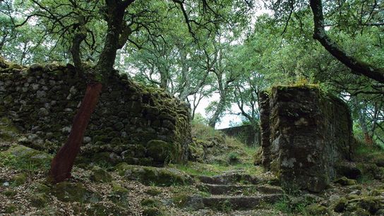 Alexandre Herculano -- The tale of a Bloody Castle taken Faria Castle (culture)