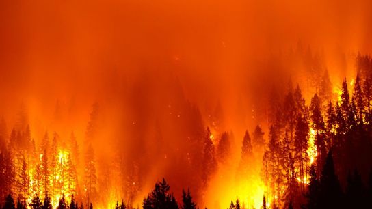 Wildfires in Portugal: What You Need to Know taken Pedrógão Grande  (Fires)