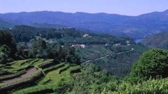 Have you been to Portugal's Vinho Verde region? Here's what you are missing taken Melgaço