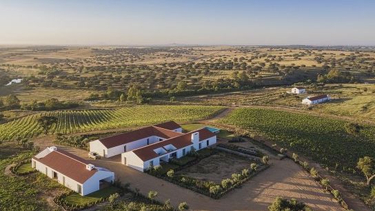 A House Made for Portugal: Winter Living Through the Eyes of a Newcomer taken Portalegre (Live in Portugal )