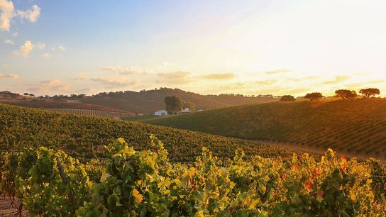 Thinking of Moving to Portugal? Look Beyond Lisbon, Porto, and the Algarve taken Pias