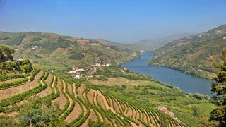 The Secrets of Portugal: What Visitors Get Wrong (and Locals Know by Heart) taken Douro (culture)