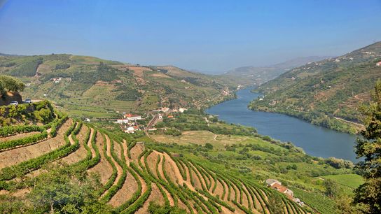 The Secrets of Portugal: What Visitors Get Wrong (and Locals Know by Heart) taken Douro (culture)
