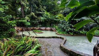 Portugal has some must see gardens taken Furnas (Outdoors)
