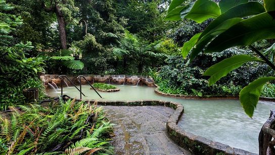 Portugal has some must see gardens taken Furnas (Outdoors)