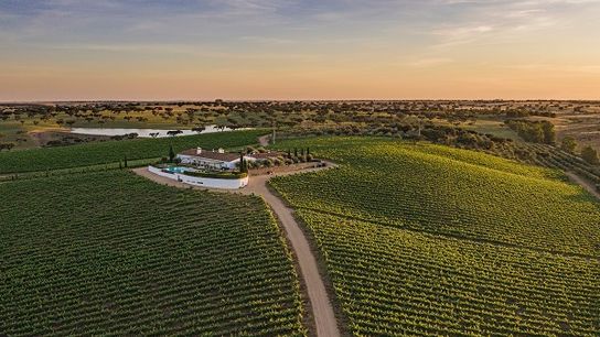 Is Southern Portugal the Perfect Winter Escape? taken Monforte (Climate)