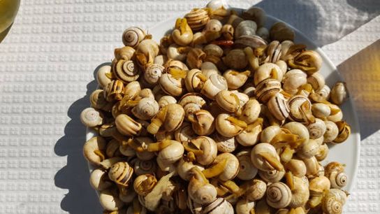 10 Delightfully Weird Things About Life in Portugal (Especially for Newcomers) taken Silves (Featured)